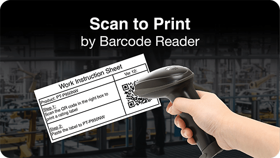 Scan to Print