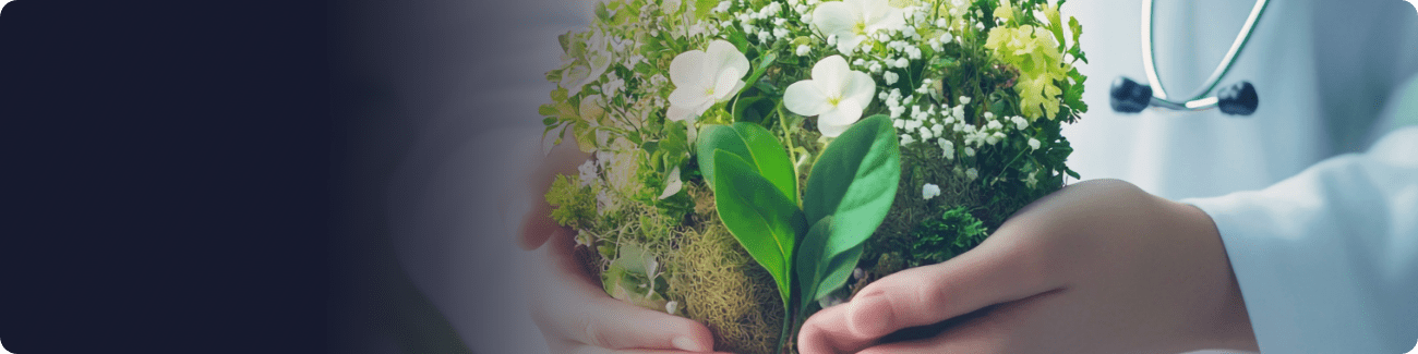 Sustainability Healthcare