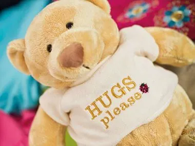 Embroidery-teddy