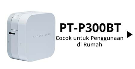 home-pt300